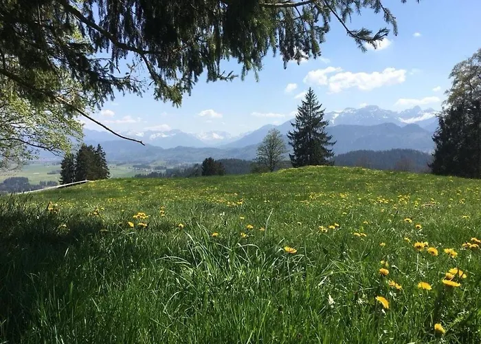 Penthouse In Ostseebad Sierksdorf 福森