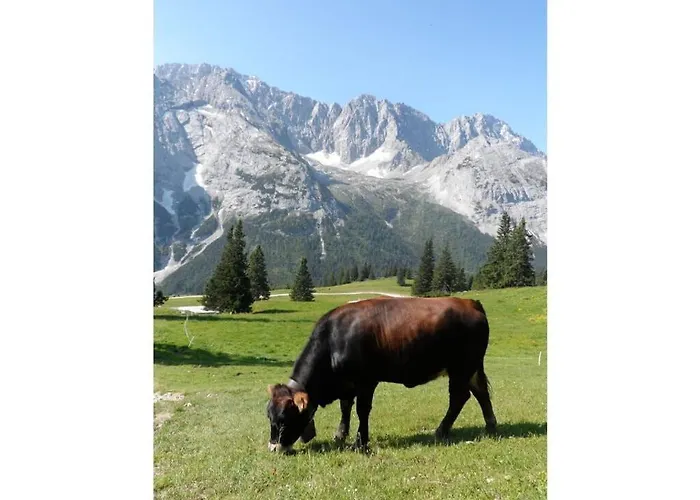 Penthouse In Ostseebad Sierksdorf 福森